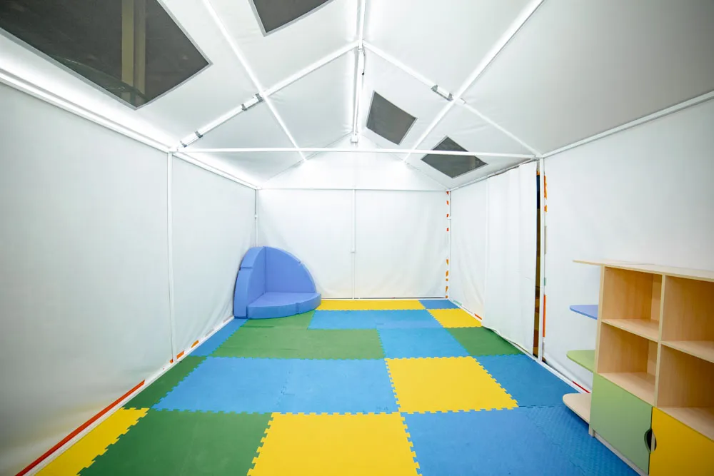 Академия Весёлкино